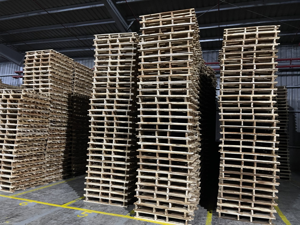 Pallet gỗ các loại